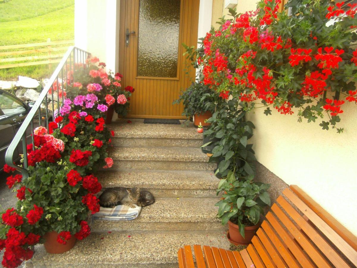 Haus Erika Apartman Wagrain Kültér fotó